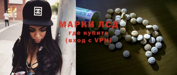 ПСИЛОЦИБИНОВЫЕ ГРИБЫ Горняк