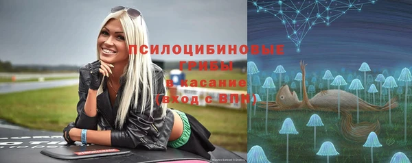 ПСИЛОЦИБИНОВЫЕ ГРИБЫ Горняк