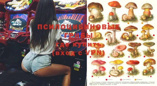 ПСИЛОЦИБИНОВЫЕ ГРИБЫ Горняк