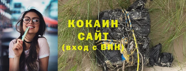 ПСИЛОЦИБИНОВЫЕ ГРИБЫ Горняк