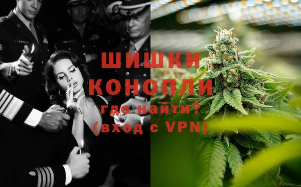 ПСИЛОЦИБИНОВЫЕ ГРИБЫ Горняк